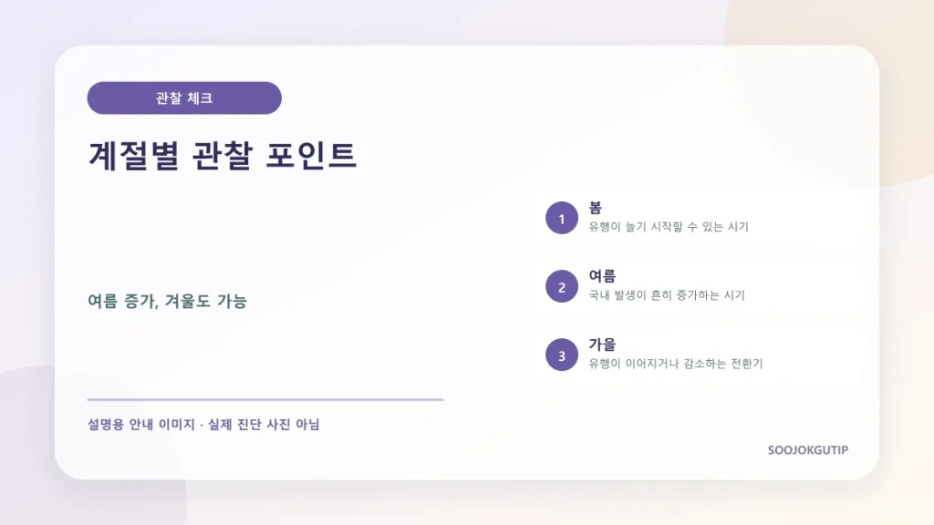 봄 여름 가을 겨울 수족구 예방 포인트를 비교한 계절표