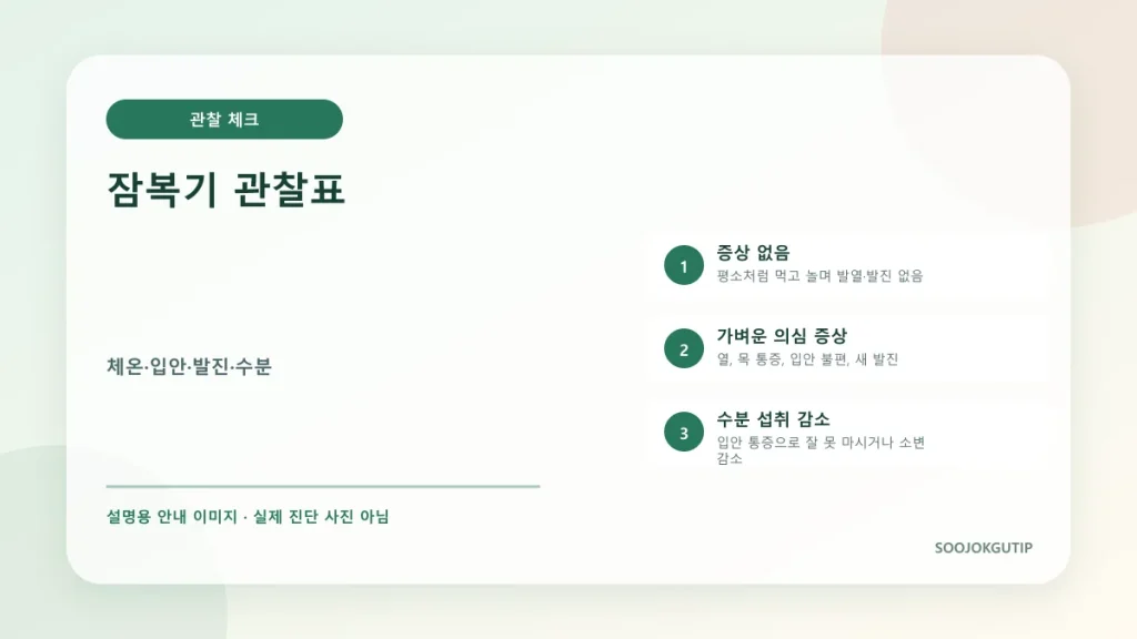 수족구 노출 뒤 잠복기 동안 체온과 발진을 기록하는 관찰표